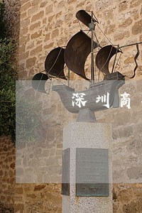 深圳商事纠纷法律咨询 深圳商事纠纷法律咨询