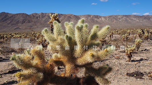 深圳商票逾期付款咨询费 深圳商票逾期付款咨询费