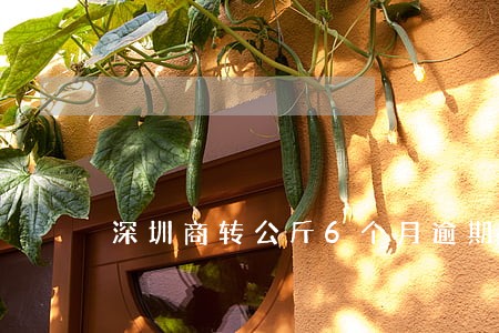 深圳商转公斤6个月逾期一次 深圳商转公斤6个月逾期一次