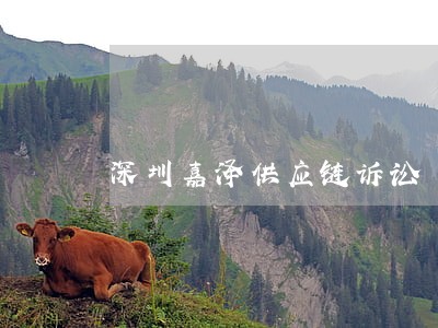 深圳嘉泽供应链诉讼 深圳嘉泽供应链诉讼