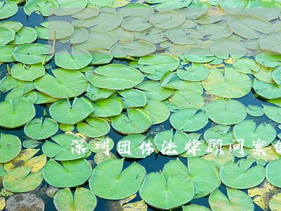深圳团体法律顾问案例 深圳团体法律顾问案例