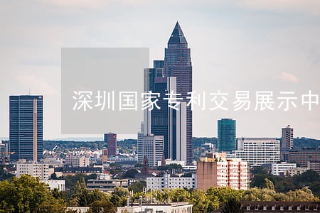 深圳国家专利交易展示中心 深圳国家专利交易展示中心