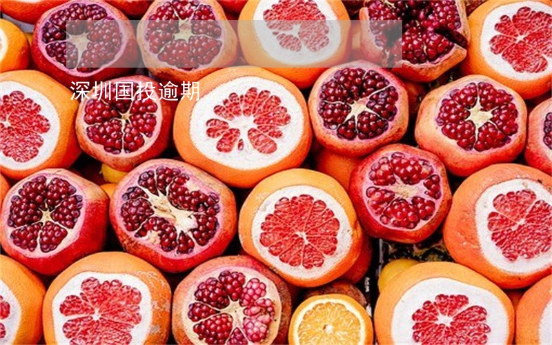 深圳国投逾期 深圳国投逾期