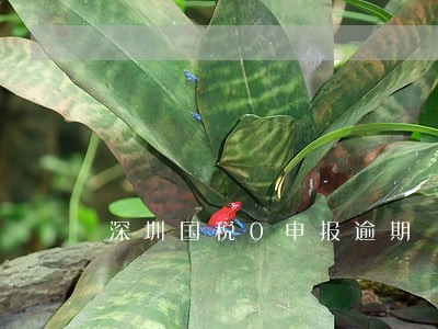 深圳国税0申报逾期 深圳国税0申报逾期