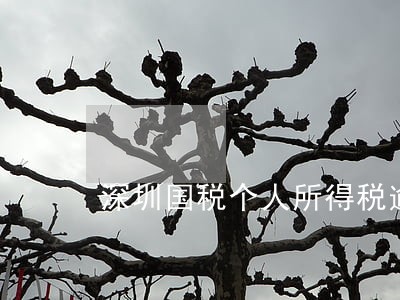 深圳国税个人所得税逾期申报