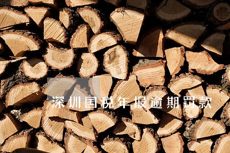 深圳国税年报逾期罚款 深圳国税年报逾期罚款