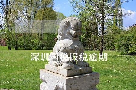 深圳国税报税逾期 深圳国税报税逾期