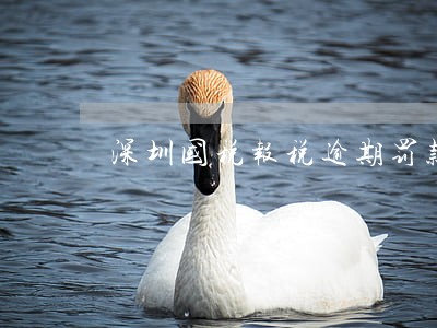 深圳国税报税逾期罚款 深圳国税报税逾期罚款