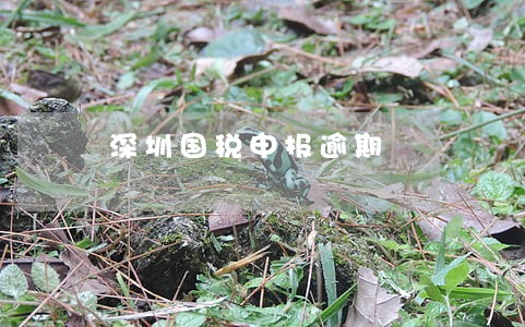 深圳国税申报逾期 深圳国税申报逾期