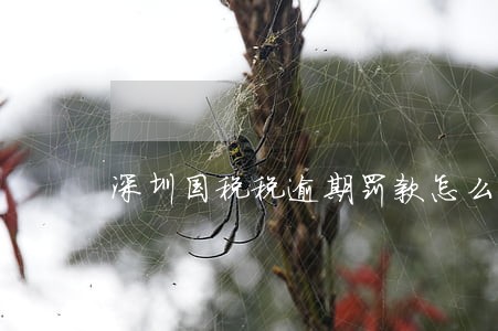 深圳国税税逾期罚款怎么算 深圳国税税逾期罚款怎么算