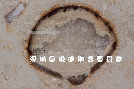 深圳国税逾期变更罚款 深圳国税逾期变更罚款