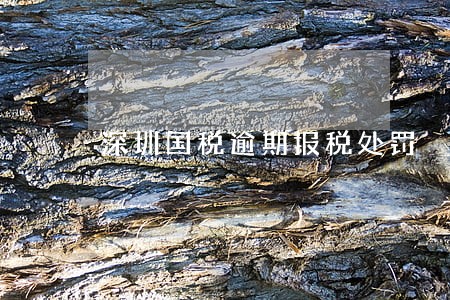 深圳国税逾期报税处罚 深圳国税逾期报税处罚