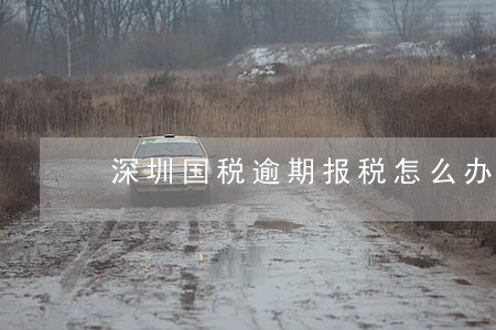 深圳国税逾期报税怎么办 深圳国税逾期报税怎么办