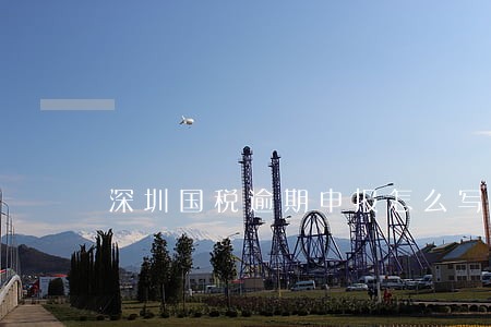 深圳国税逾期申报怎么写 深圳国税逾期申报怎么写