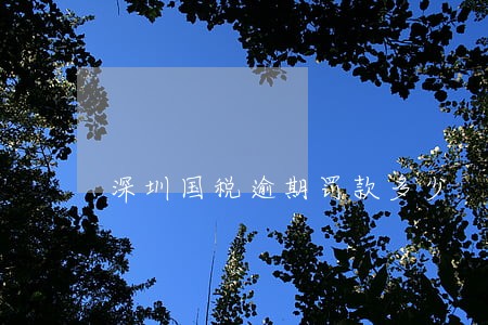 深圳国税逾期罚款多少 深圳国税逾期罚款多少