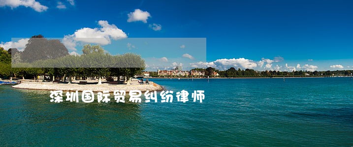 深圳国际贸易纠纷律师 深圳国际贸易纠纷律师