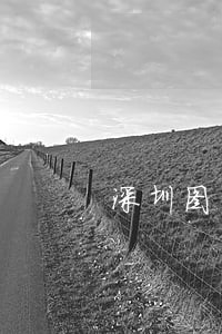 深圳图书馆借书逾期多少钱一天