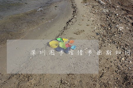 深圳图书馆借书逾期如何交罚款
