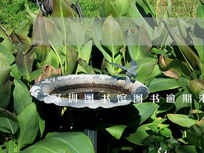 深圳图书馆图书逾期未还 深圳图书馆图书逾期未还