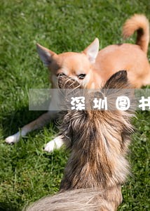 深圳图书馆的书逾期罚款 深圳图书馆的书逾期罚款