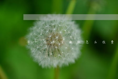 深圳图书馆逾期怎么收费 深圳图书馆逾期怎么收费