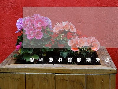 深圳图书馆逾期未还 深圳图书馆逾期未还