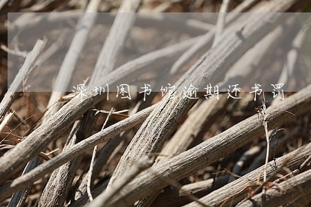 深圳图书馆逾期还书罚 深圳图书馆逾期还书罚