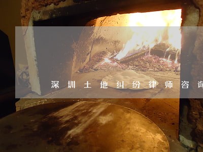 深圳土地纠纷律师咨询 深圳土地纠纷律师咨询