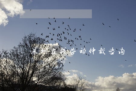 深圳在线劳动仲裁咨询 深圳在线劳动仲裁咨询