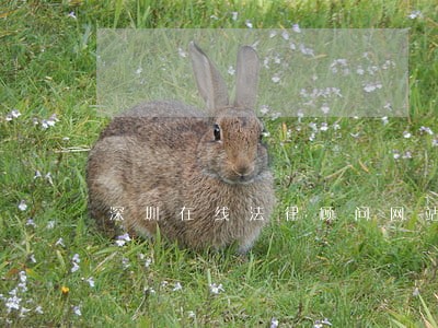 深圳在线法律顾问网站 深圳在线法律顾问网站