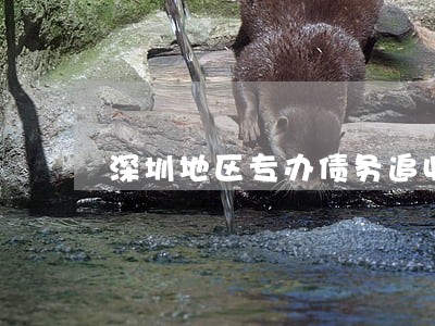深圳地区专办债务追收律师选哪个 深圳地区专办债务追收律师选哪个