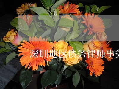 深圳地区债务律师事务所费用 深圳地区债务律师事务所费用