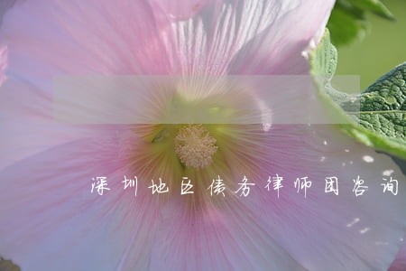 深圳地区债务律师团咨询电话 深圳地区债务律师团咨询电话