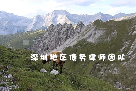 深圳地区债务律师团队 深圳地区债务律师团队