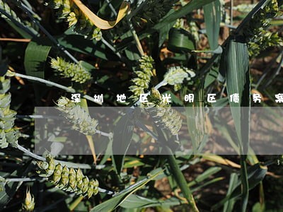 深圳地区光明区债务案件律师收费 深圳地区光明区债务案件律师收费