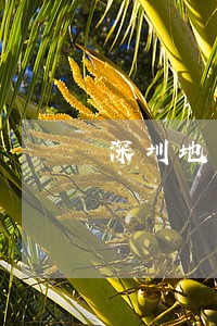 深圳地区刑事辩护律师免费咨询 深圳地区刑事辩护律师免费咨询