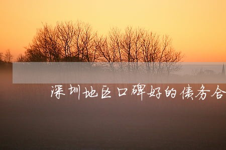 深圳地区口碑好的债务合同律师 深圳地区口碑好的债务合同律师