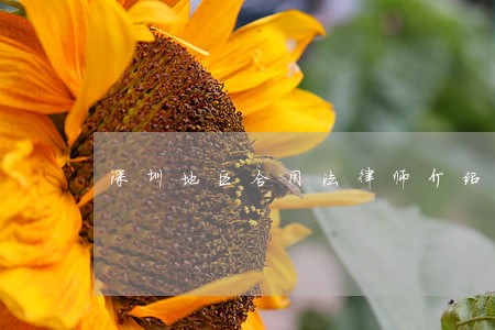 深圳地区合同法律师介绍个