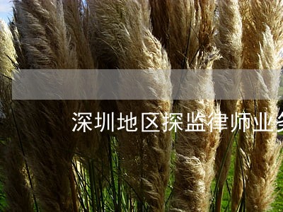 深圳地区探监律师业务专业推荐 深圳地区探监律师业务专业推荐