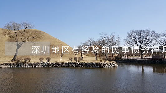 深圳地区有经验的民事债务律师 深圳地区有经验的民事债务律师