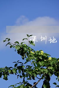 深圳地区民事债务律师联系方式 深圳地区民事债务律师联系方式
