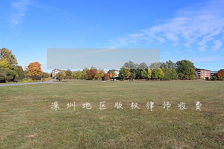 深圳地区版权律师收费 深圳地区版权律师收费