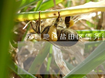 深圳地区盐田区债务律师团队电话 深圳地区盐田区债务律师团队电话