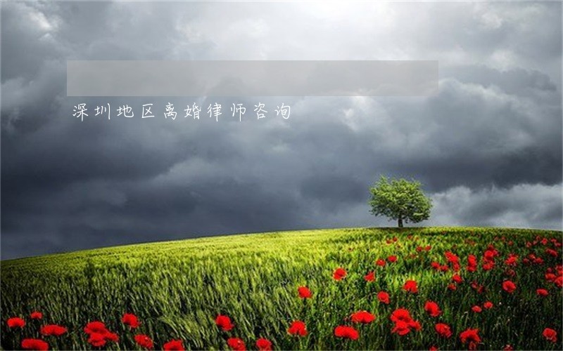 深圳地区离婚律师咨询 深圳地区离婚律师咨询