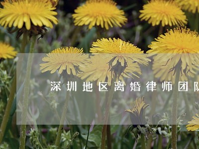 深圳地区离婚律师团队 深圳地区离婚律师团队