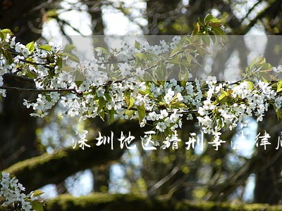 深圳地区请刑事法律顾问 深圳地区请刑事法律顾问