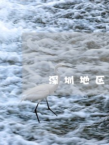 深圳地区龙华区债务担保律师介绍 深圳地区龙华区债务担保律师介绍