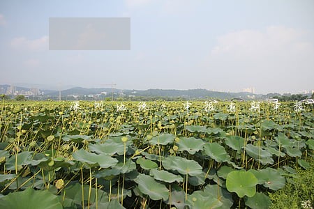 深圳地税0申报逾期申报 深圳地税0申报逾期申报