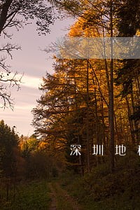 深圳地税个体逾期申报