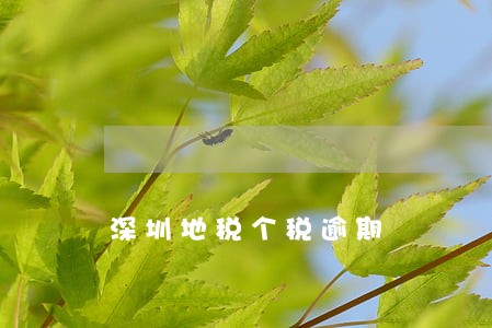 深圳地税个税逾期 深圳地税个税逾期